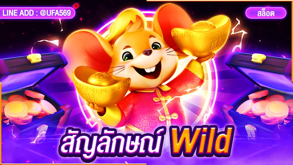 สัญลักษณ์ Wild